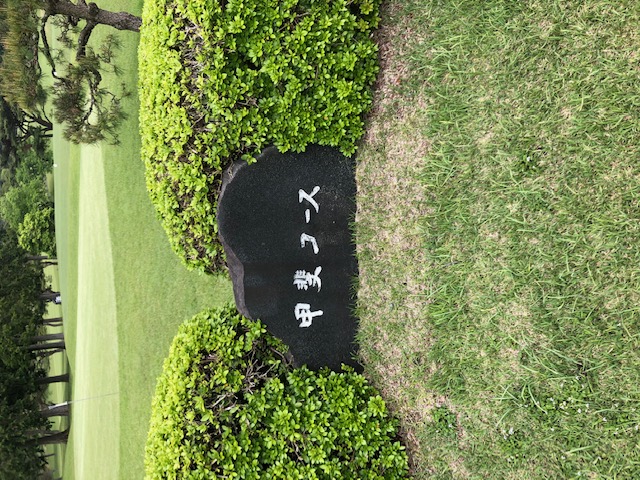 朝霧ジャンボリーゴルフクラブ8